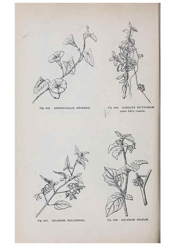 Reproducción/Reproduction 49743281481: The flora of the Liverpool district /. Liverpool :D. Marples & Co.,1902.. 