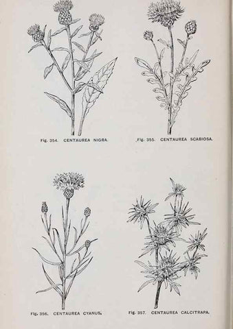 Reproducción/Reproduction 49742725718: The flora of the Liverpool district /. Liverpool :D. Marples & Co.,1902.. 