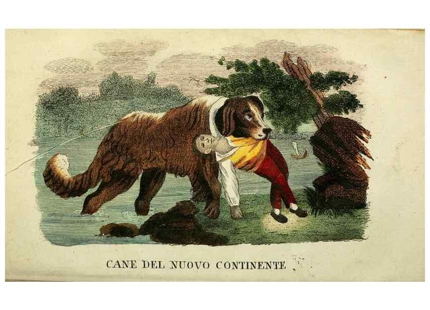 Reproducción/Reproduction 49741919013: Il gabinetto del giovane naturalista. Milano :Presso Omobono Manini,1825-1826.. 