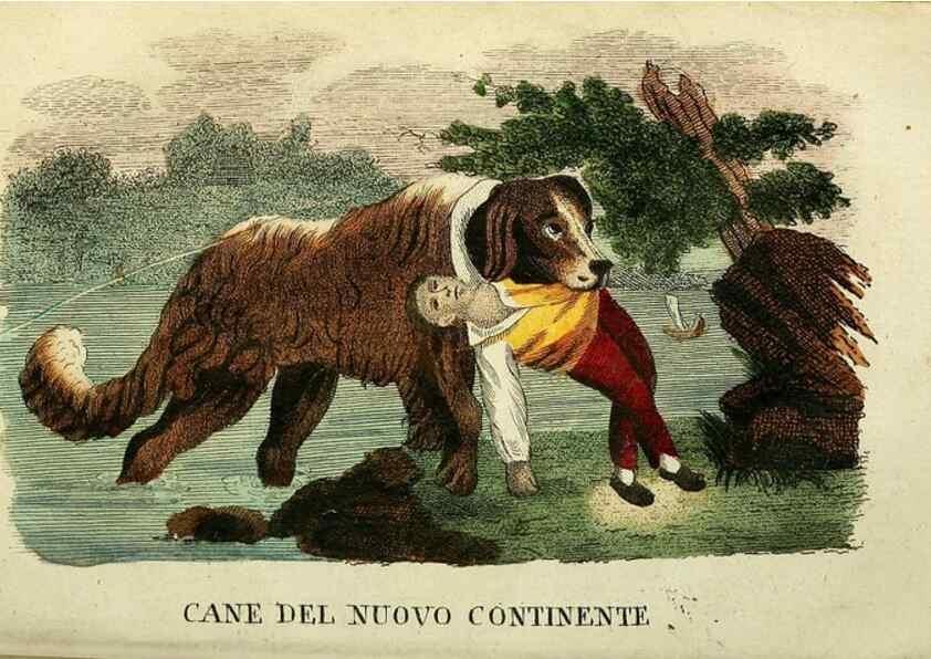 Reproducción/Reproduction 49741919013: Il gabinetto del giovane naturalista. Milano :Presso Omobono Manini,1825-1826.. 