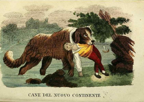 Reproducción/Reproduction 49741919013: Il gabinetto del giovane naturalista. Milano :Presso Omobono Manini,1825-1826.. 