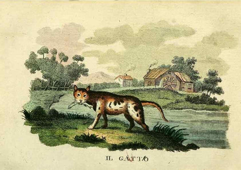 Reproducción/Reproduction 49741919238: Il gabinetto del giovane naturalista. Milano :Presso Omobono Manini,1825-1826.. 
