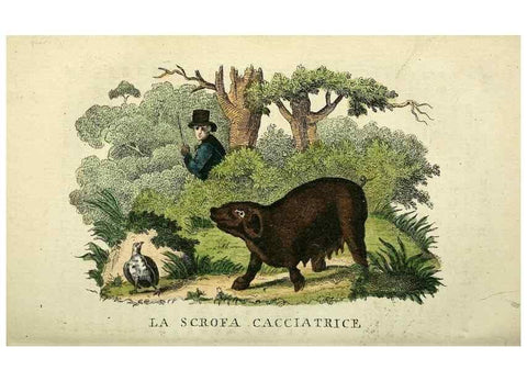 Reproducción/Reproduction 49742468711: Il gabinetto del giovane naturalista. Milano :Presso Omobono Manini,1825-1826.. 