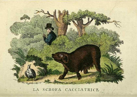 Reproducción/Reproduction 49742468711: Il gabinetto del giovane naturalista. Milano :Presso Omobono Manini,1825-1826.. 