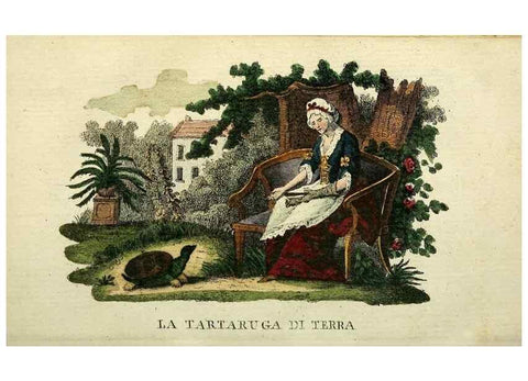 Reproducción/Reproduction 49742792417: Il gabinetto del giovane naturalista. Milano :Presso Omobono Manini,1825-1826.. 