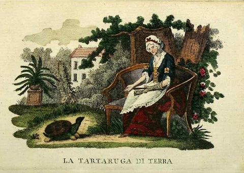 Reproducción/Reproduction 49742792417: Il gabinetto del giovane naturalista. Milano :Presso Omobono Manini,1825-1826.. 