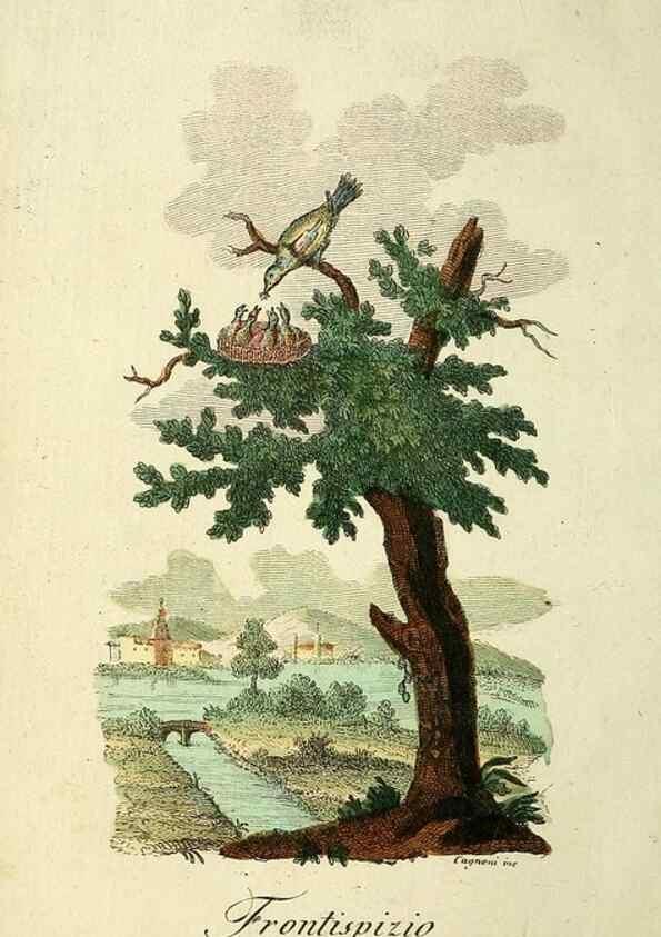 Reproducción/Reproduction 49742572866: Il gabinetto del giovane naturalista. Milano :Presso Omobono Manini,1825-1826.. 