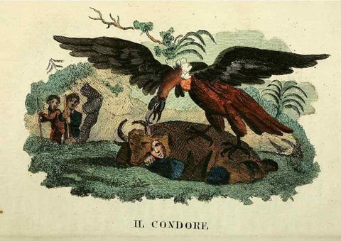 Reproducción/Reproduction 49742022968: Il gabinetto del giovane naturalista. Milano :Presso Omobono Manini,1825-1826.. 