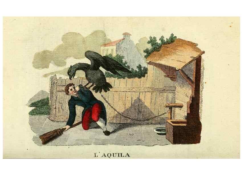 Reproducción/Reproduction 49742573586: Il gabinetto del giovane naturalista. Milano :Presso Omobono Manini,1825-1826.. 