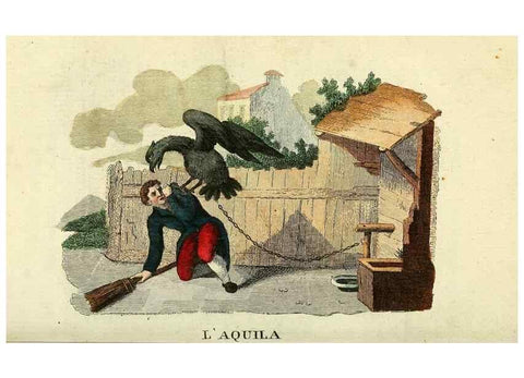 Reproducción/Reproduction 49742573586: Il gabinetto del giovane naturalista. Milano :Presso Omobono Manini,1825-1826.. 