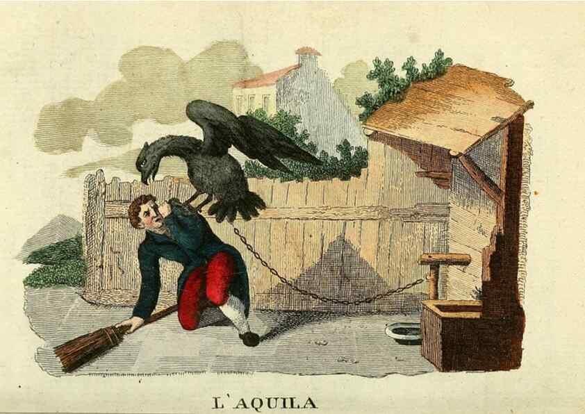 Reproducción/Reproduction 49742573586: Il gabinetto del giovane naturalista. Milano :Presso Omobono Manini,1825-1826.. 