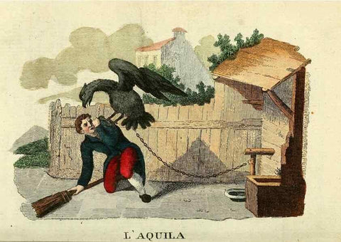 Reproducción/Reproduction 49742573586: Il gabinetto del giovane naturalista. Milano :Presso Omobono Manini,1825-1826.. 