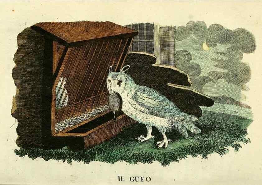 Reproducción/Reproduction 49742896032: Il gabinetto del giovane naturalista. Milano :Presso Omobono Manini,1825-1826.. 