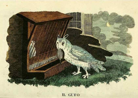 Reproducción/Reproduction 49742896032: Il gabinetto del giovane naturalista. Milano :Presso Omobono Manini,1825-1826.. 