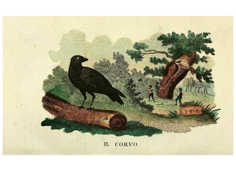 Reproducción/Reproduction 49742574281: Il gabinetto del giovane naturalista. Milano :Presso Omobono Manini,1825-1826.. 