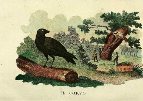 Reproducción/Reproduction 49742574281: Il gabinetto del giovane naturalista. Milano :Presso Omobono Manini,1825-1826.. 