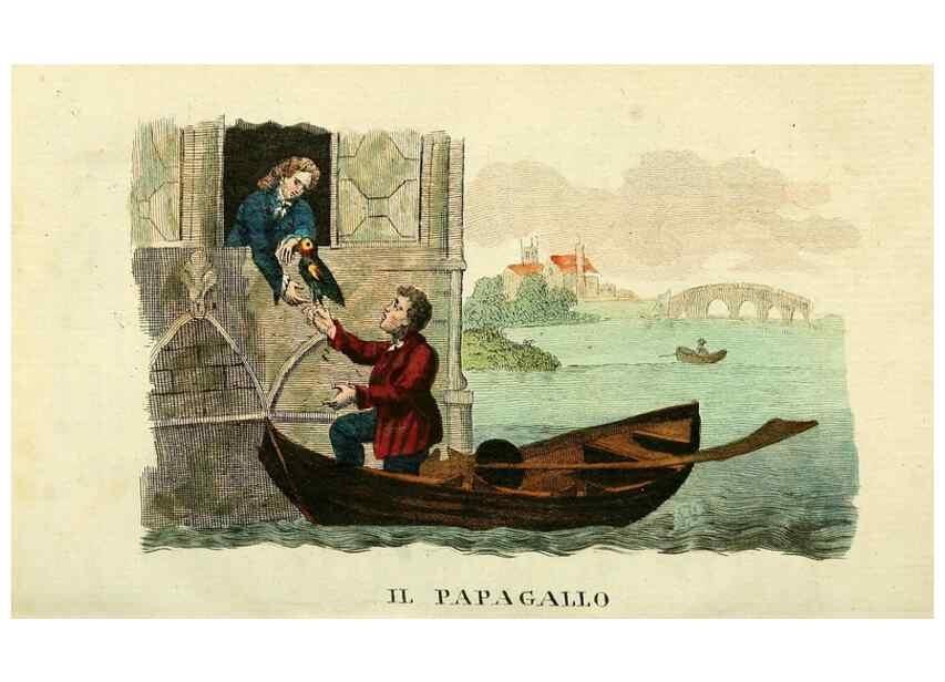 Reproducción/Reproduction 49742896632: Il gabinetto del giovane naturalista. Milano :Presso Omobono Manini,1825-1826.. 