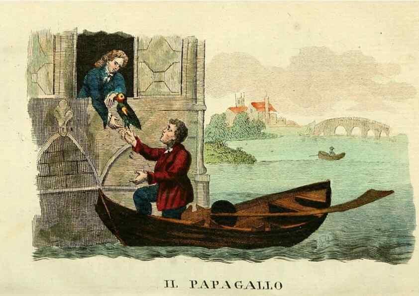 Reproducción/Reproduction 49742896632: Il gabinetto del giovane naturalista. Milano :Presso Omobono Manini,1825-1826.. 