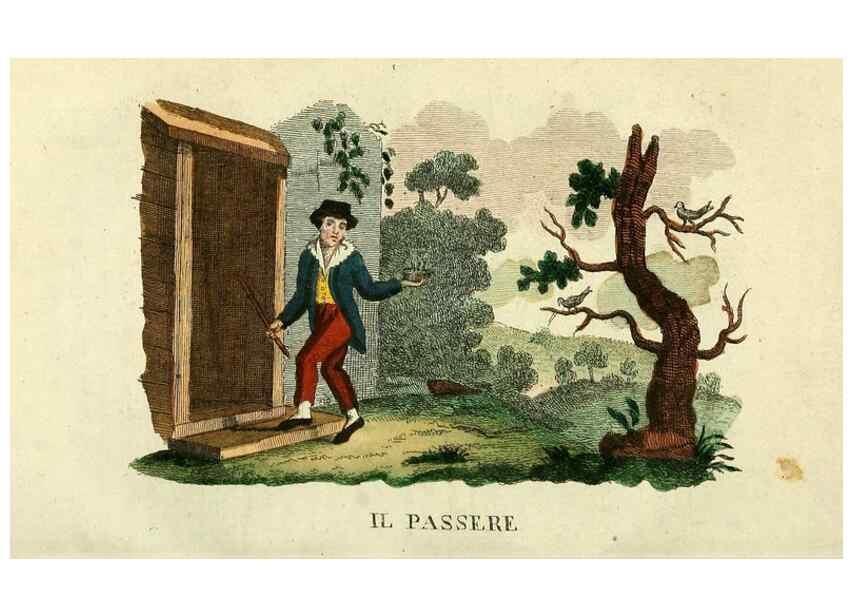 Reproducción/Reproduction 49742574901: Il gabinetto del giovane naturalista. Milano :Presso Omobono Manini,1825-1826.. 