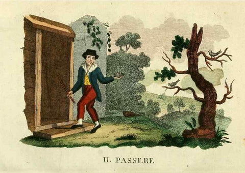 Reproducción/Reproduction 49742574901: Il gabinetto del giovane naturalista. Milano :Presso Omobono Manini,1825-1826.. 