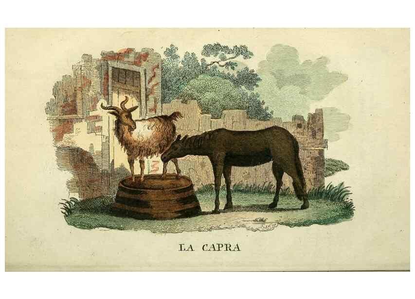 Reproducción/Reproduction 49742791492: Il gabinetto del giovane naturalista. Milano :Presso Omobono Manini,1825-1826.. 