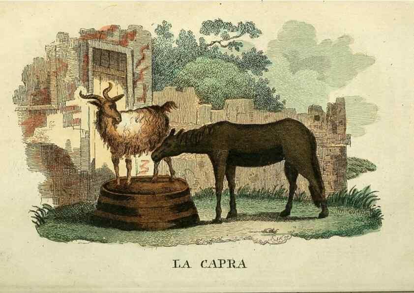 Reproducción/Reproduction 49742791492: Il gabinetto del giovane naturalista. Milano :Presso Omobono Manini,1825-1826.. 