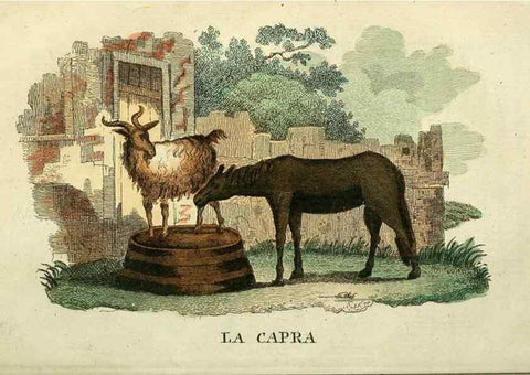 Reproducción/Reproduction 49742791492: Il gabinetto del giovane naturalista. Milano :Presso Omobono Manini,1825-1826.. 