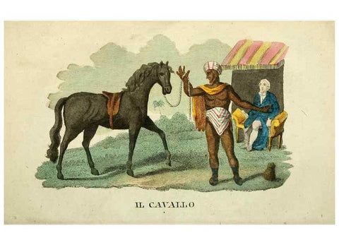 Reproducción/Reproduction 49741918423: Il gabinetto del giovane naturalista. Milano :Presso Omobono Manini,1825-1826.. 