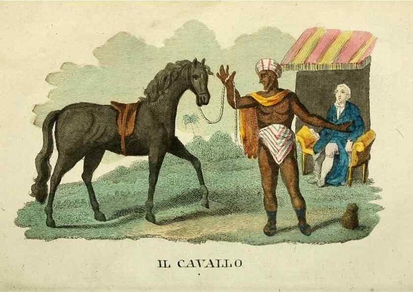 Reproducción/Reproduction 49741918423: Il gabinetto del giovane naturalista. Milano :Presso Omobono Manini,1825-1826.. 