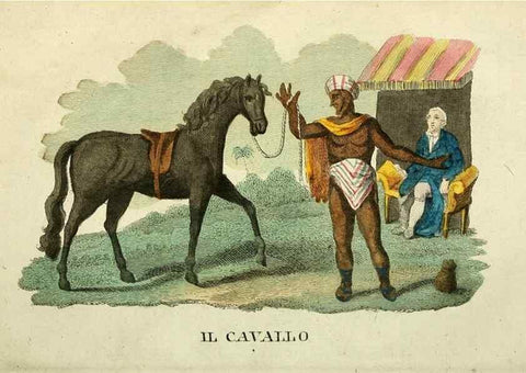 Reproducción/Reproduction 49741918423: Il gabinetto del giovane naturalista. Milano :Presso Omobono Manini,1825-1826.. 