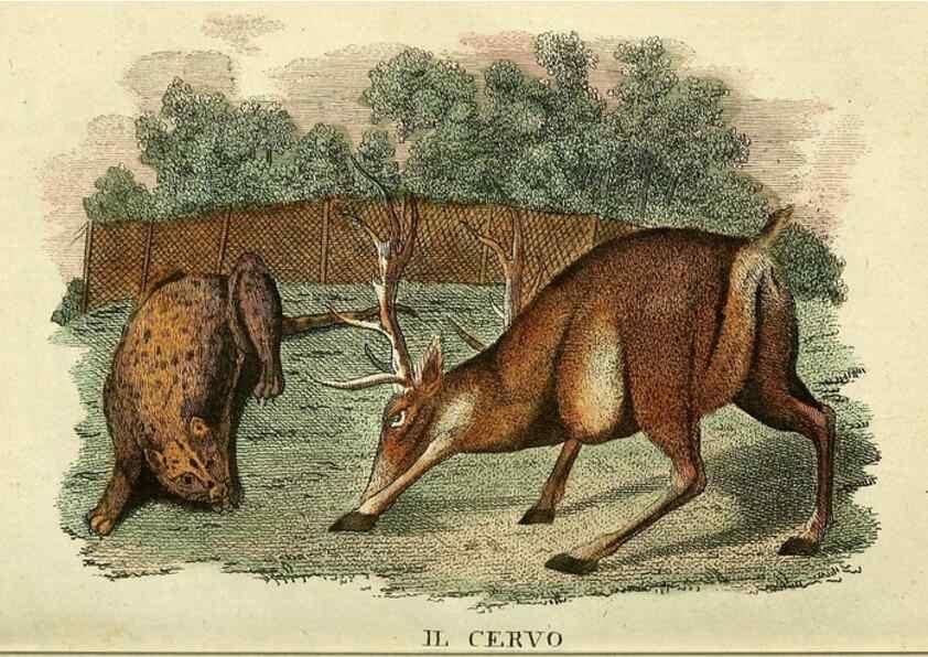 Reproducción/Reproduction 49741918038: Il gabinetto del giovane naturalista. Milano :Presso Omobono Manini,1825-1826.. 