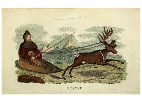 Reproducción/Reproduction 49742790587: Il gabinetto del giovane naturalista. Milano :Presso Omobono Manini,1825-1826.. 