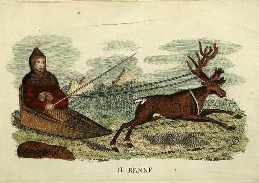 Reproducción/Reproduction 49742790587: Il gabinetto del giovane naturalista. Milano :Presso Omobono Manini,1825-1826.. 