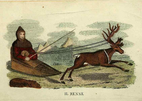 Reproducción/Reproduction 49742790587: Il gabinetto del giovane naturalista. Milano :Presso Omobono Manini,1825-1826.. 