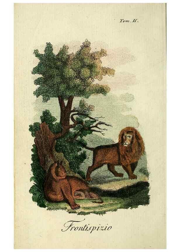 Reproducción/Reproduction 49742790372: Il gabinetto del giovane naturalista. Milano :Presso Omobono Manini,1825-1826.. 