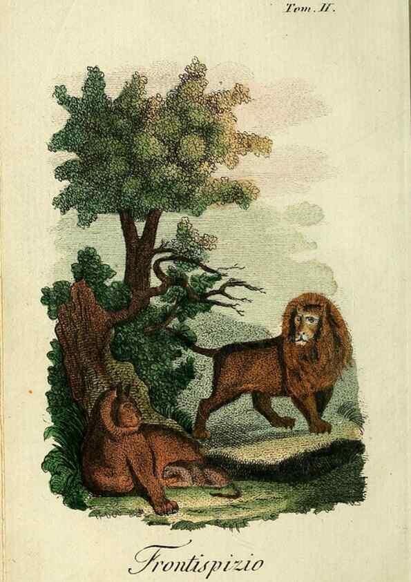 Reproducción/Reproduction 49742790372: Il gabinetto del giovane naturalista. Milano :Presso Omobono Manini,1825-1826.. 