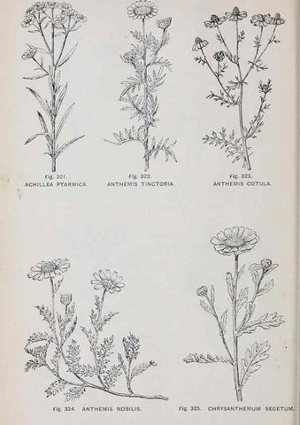 Reproducción/Reproduction 49742722973: The flora of the Liverpool district /. Liverpool :D. Marples & Co.,1902.. 