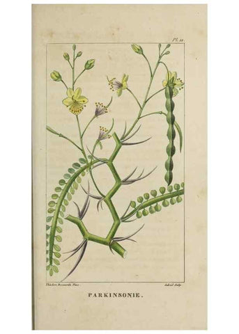 Reproducción/Reproduction 49742621833: Flore pittoresque et médicale des Antilles, ou, Histoire naturelle des plantes usuelles des colonies françaises, anglaises, espagnoles, et portugaises /. Paris :Ches l'Editeur,1833.. 