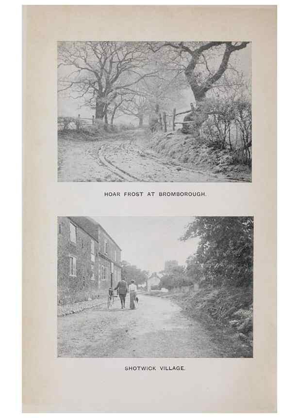 Reproducción/Reproduction 49742697893: The flora of the Liverpool district /. Liverpool :D. Marples & Co.,1902.. 