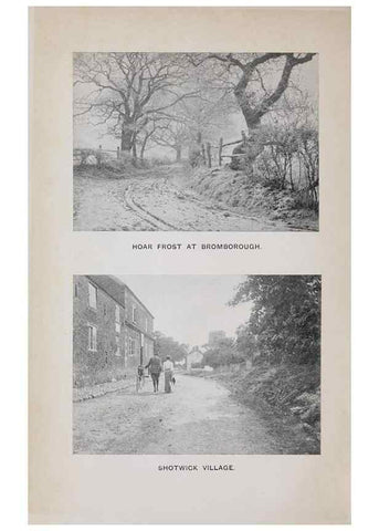 Reproducción/Reproduction 49742697893: The flora of the Liverpool district /. Liverpool :D. Marples & Co.,1902.. 