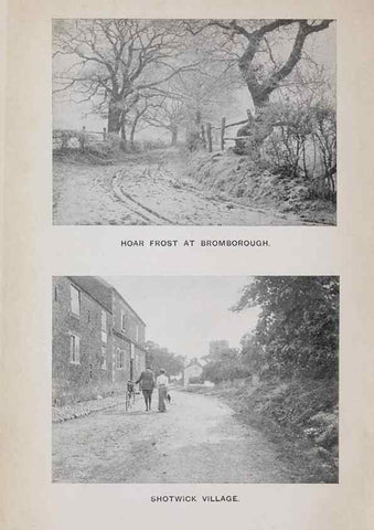Reproducción/Reproduction 49742697893: The flora of the Liverpool district /. Liverpool :D. Marples & Co.,1902.. 