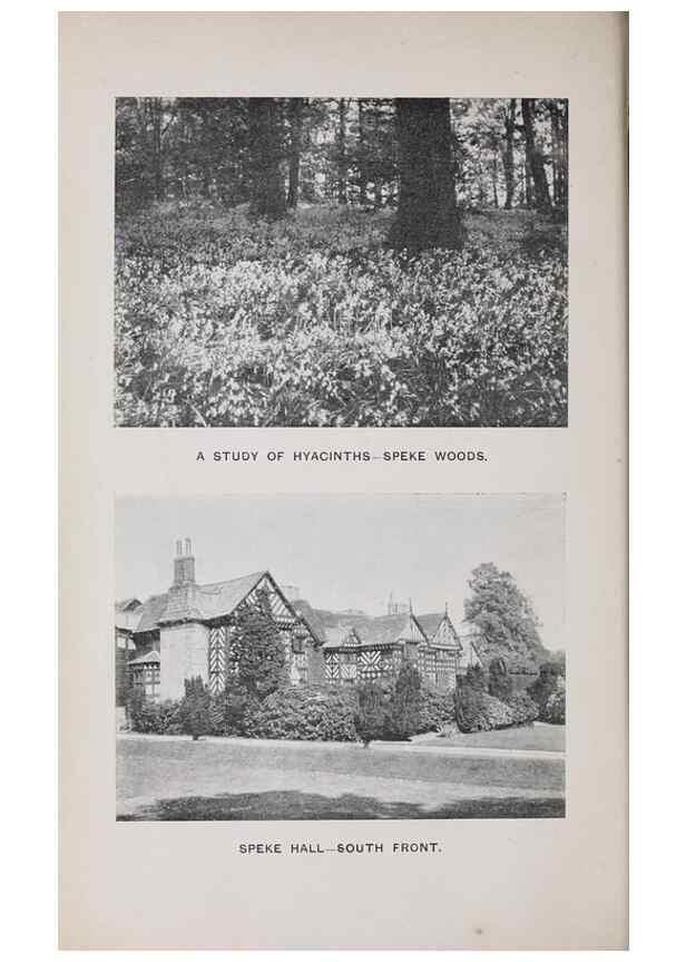 Reproducción/Reproduction 49742698598: The flora of the Liverpool district /. Liverpool :D. Marples & Co.,1902.. 