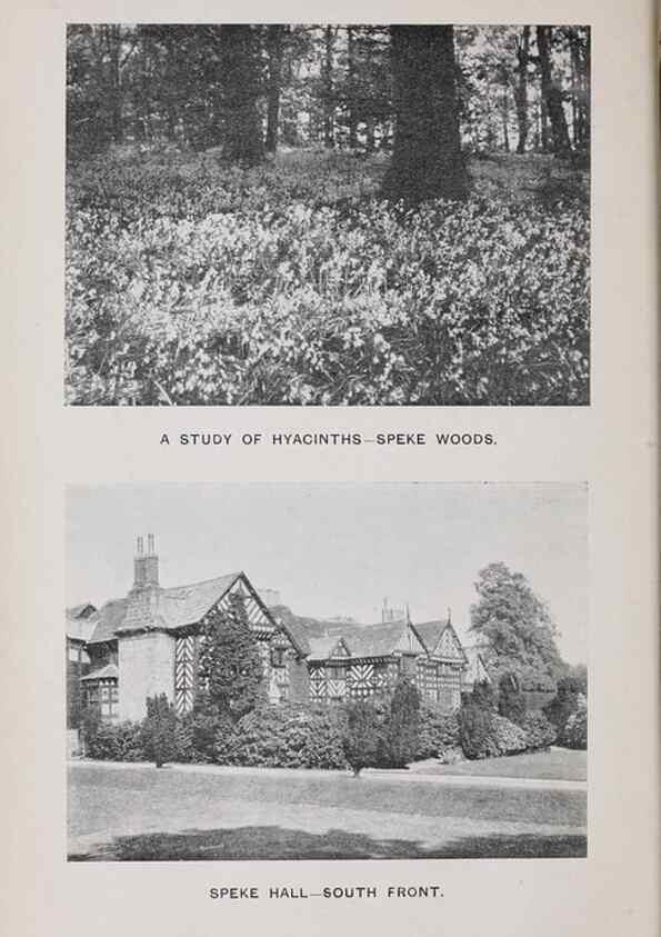 Reproducción/Reproduction 49742698598: The flora of the Liverpool district /. Liverpool :D. Marples & Co.,1902.. 
