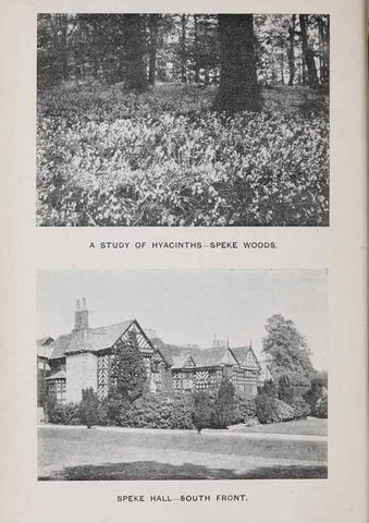 Reproducción/Reproduction 49742698598: The flora of the Liverpool district /. Liverpool :D. Marples & Co.,1902.. 