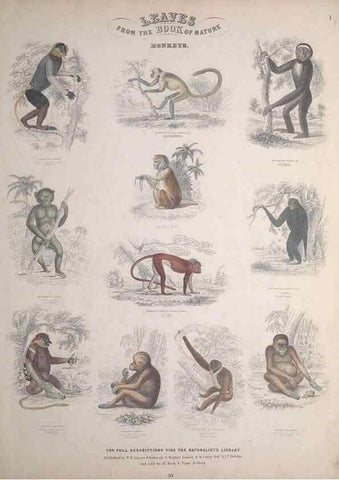 Reproducción/Reproduction 49748835608: Leaves from the book of nature,. Edinburgh :W.H. Lizars;[184-?]. 