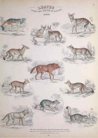 Reproducción/Reproduction 49749708262: Leaves from the book of nature,. Edinburgh :W.H. Lizars;[184-?]. 