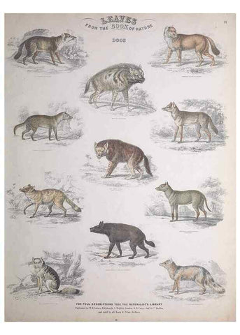 Reproducción/Reproduction 49749708892: Leaves from the book of nature,. Edinburgh :W.H. Lizars;[184-?]. 