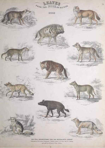 Reproducción/Reproduction 49749708892: Leaves from the book of nature,. Edinburgh :W.H. Lizars;[184-?]. 