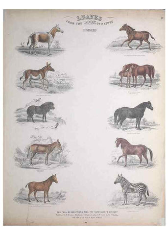 Reproducción/Reproduction 49748842533: Leaves from the book of nature,. Edinburgh :W.H. Lizars;[184-?]. 