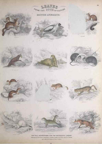 Reproducción/Reproduction 49748842973: Leaves from the book of nature,. Edinburgh :W.H. Lizars;[184-?]. 
